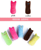 Interactive Catnip Plush Chew Toy – Funny Teeth Grinding & Bite Toy for Cats