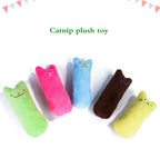 Interactive Catnip Plush Chew Toy – Funny Teeth Grinding & Bite Toy for Cats