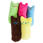 Interactive Catnip Plush Chew Toy – Funny Teeth Grinding & Bite Toy for Cats