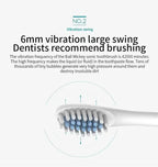 Electric Ultrasonic Toothbrush – USB Rechargeable | 6 Cleaning Modes | Waterproof | Couple Set